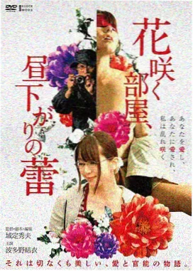 横滨夜航电影封面